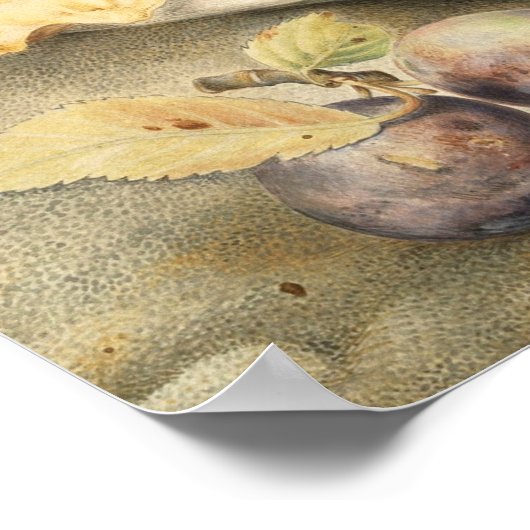 Garzoni - stilstaand leven met pompoen en wijn poster (Hoek)