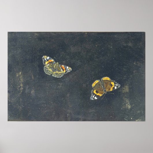 Garzoni - Twee Butterflies Poster (Voorkant)