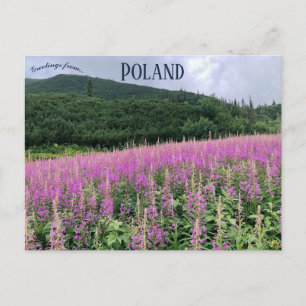 Gąsienicowa Valley Zakopane Polen Briefkaart