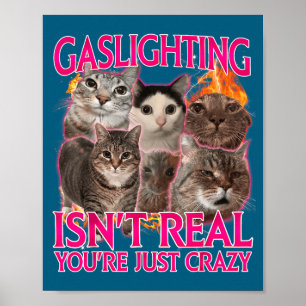 Gaslighting bestaat niet Je bent gewoon gek Bootle Poster