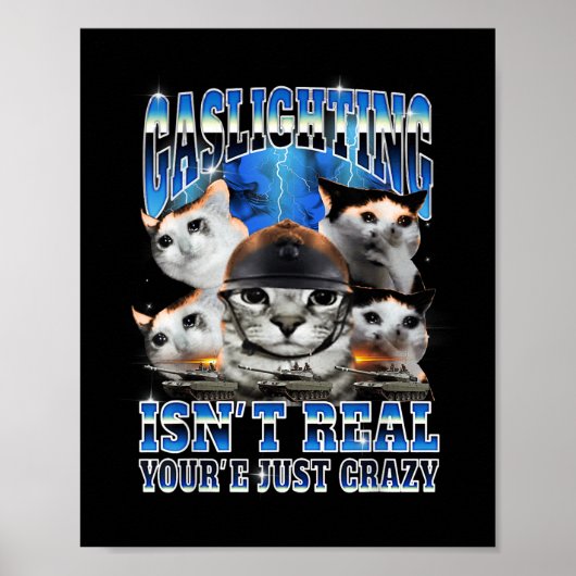 Gaslighting ISN't Echt Grappig Cat Meme Bootle Poster (Voorkant)