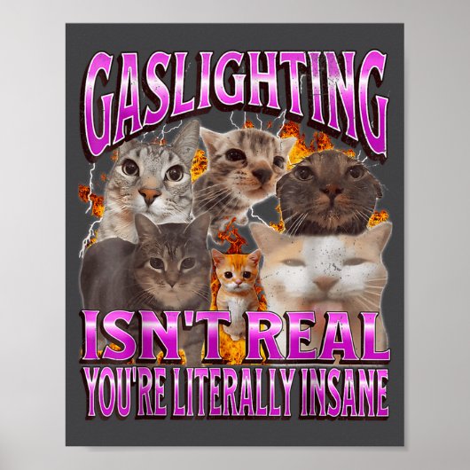 Gaslighting Isn't Real Funny Cat Meme Bootleg Grap Poster (Voorkant)