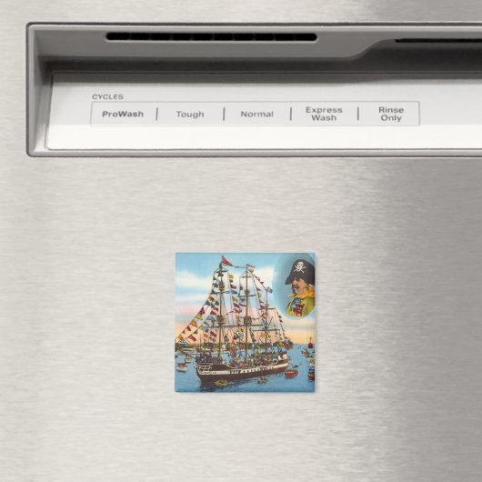  Gasparilla Piratenschip Tampa Magneet (Insitu (Vaatwasser))