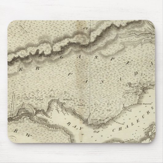 Gaspe Peninsula Muismat (Voorkant)