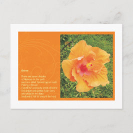 Gaspeldoorn Briefkaart