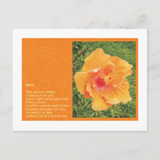 Gaspeldoorn Briefkaart (Voorkant)