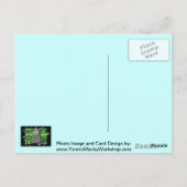 Gaspompen Briefkaart (Achterkant)