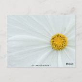 Gast Tafel Nummer Briefkaart (Achterkant)