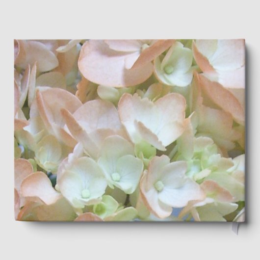 Gastboek - Peach Hydrangea Gastenboek (Achterkant)