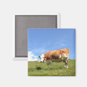 Gästehaus Fernerblick - Kuhmagnet Magneet (Voorkant / Achterkant)