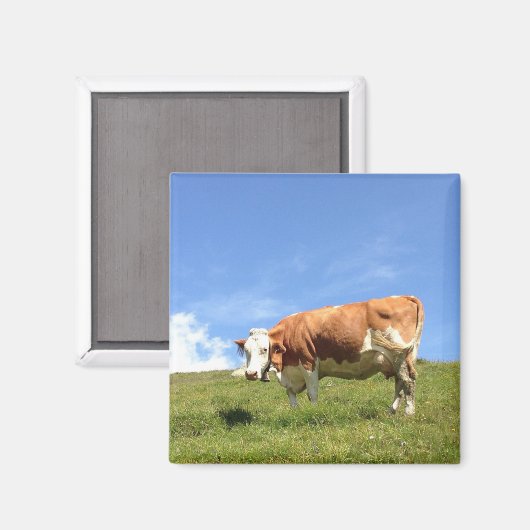 Gästehaus Fernerblick - Kuhmagnet Magneet (Voorkant / Achterkant)