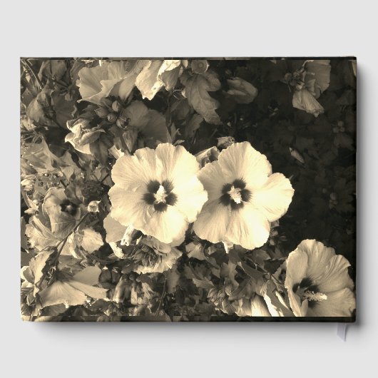 Gastenboek (Achterkant)