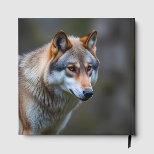 Gastenboek  (Achterkant)