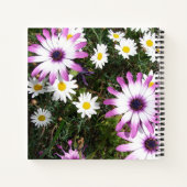 Gastenboek Daisy Paarse roze bloembloem Notitieboek (Achterkant)