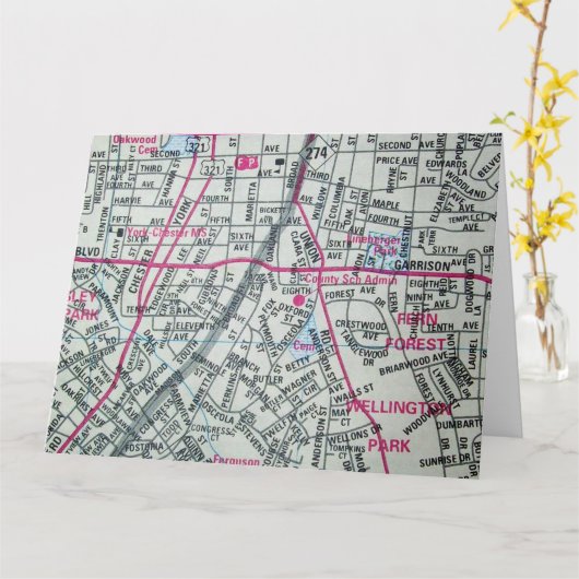 Gastonia, NC  kaart (Gele Bloem)