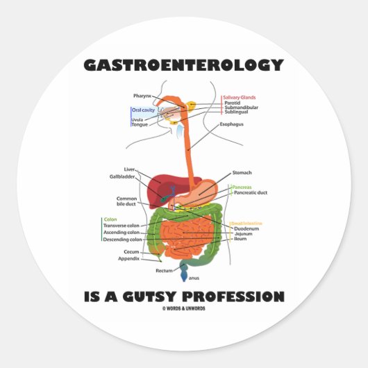 Gastro-enterologie is een gigantische beroepsgroep ronde sticker (Voorkant)