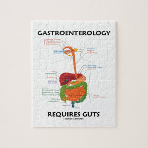 Gastro-enterologie vereist darmen (spijsverterings legpuzzel
