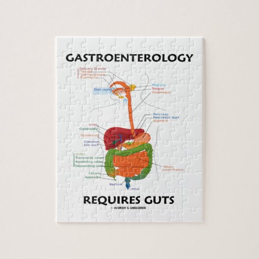 Gastro-enterologie vereist darmen (spijsverterings legpuzzel (Verticaal)