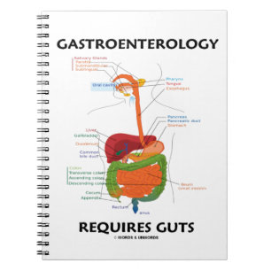 Gastro-enterologie vereist darmstelsel notitieboek