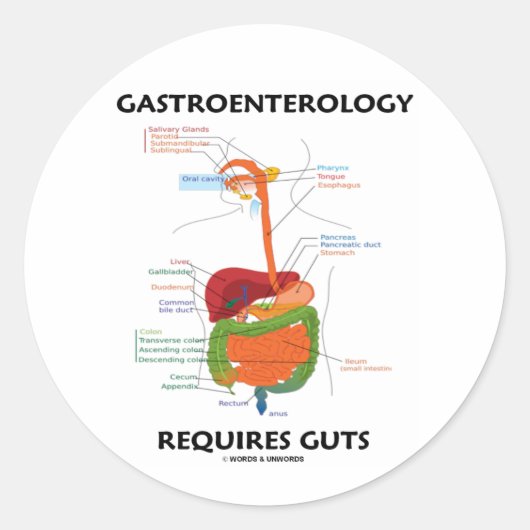 Gastroenterology Requires Guts (Digestive System) Ronde Sticker (Voorkant)