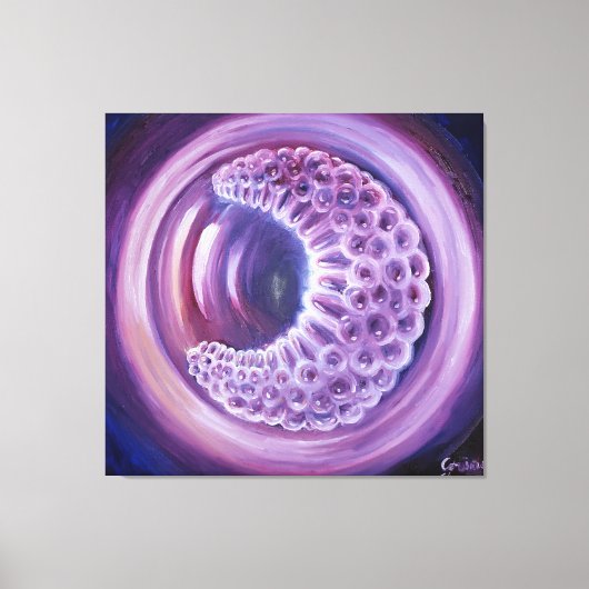 Gastrula Canvas Afdruk (Voorkant)