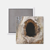 Gat in een boomstam magneet (Voorkant / Achterkant)