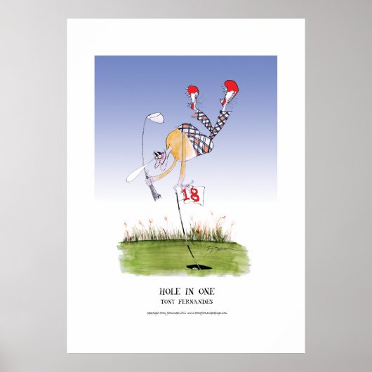 gat in één, tony fernandes poster (Voorkant)