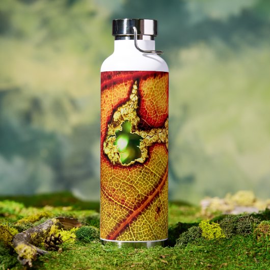 Gat in vleugel waterfles (Buiten)