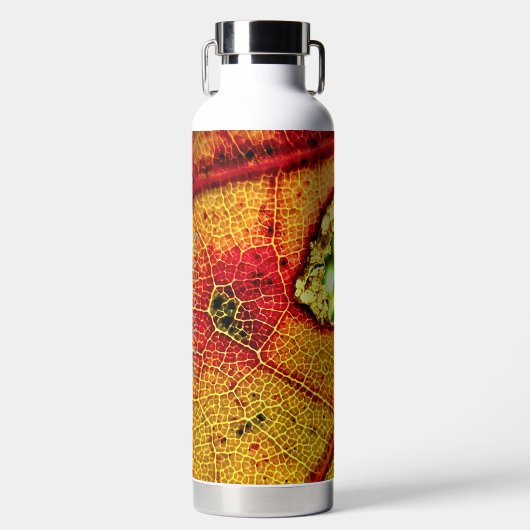 Gat in vleugel waterfles (Voorkant)