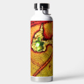 Gat in vleugel waterfles (Links)