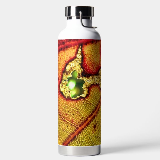 Gat in vleugel waterfles (Links)