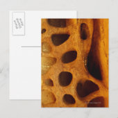 Gaten in rots briefkaart (Voorkant / Achterkant)