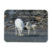 Gates of the Arctic National Park-magneet Magneet (Horizontaal)