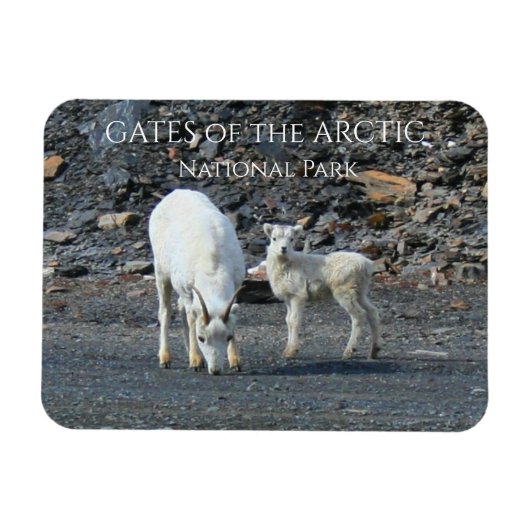 Gates of the Arctic National Park-magneet Magneet (Horizontaal)