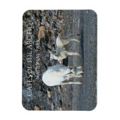 Gates of the Arctic National Park-magneet Magneet (Verticaal)