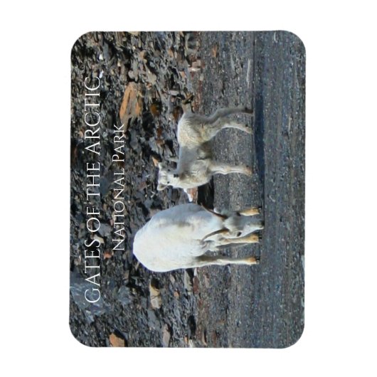 Gates of the Arctic National Park-magneet Magneet (Verticaal)