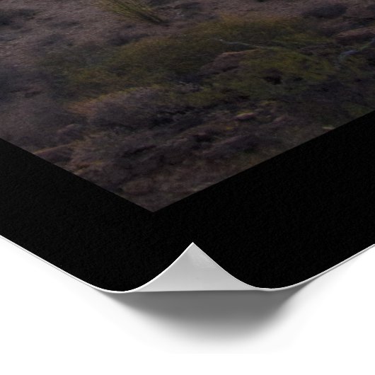 Gates Pass Poster (Hoek)