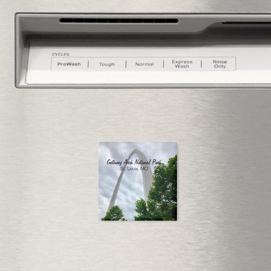 Gateway Arch National Park, St. Louis, MO Magnet (Insitu (Vaatwasser))
