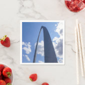 Gateway Arch Servet (Insitu)
