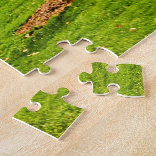 Gateway Arch, St. Louis, Missouri, VS Legpuzzel (Zijkant)