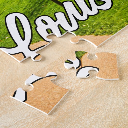 Gateway Arch, St. Louis, Missouri, VS Legpuzzel (Zijkant)