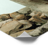 Gateway met gekarfde Sphinx Poster (Hoek)