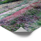 Gateway Rocks Garden van het Gods-Poster Poster (Hoek)