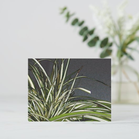 Gatha Briefkaart (Staand voorkant)