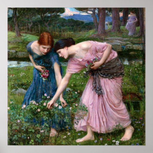 Gather Ye Rosebuds by John William Waterhouse Poster (Voorkant)