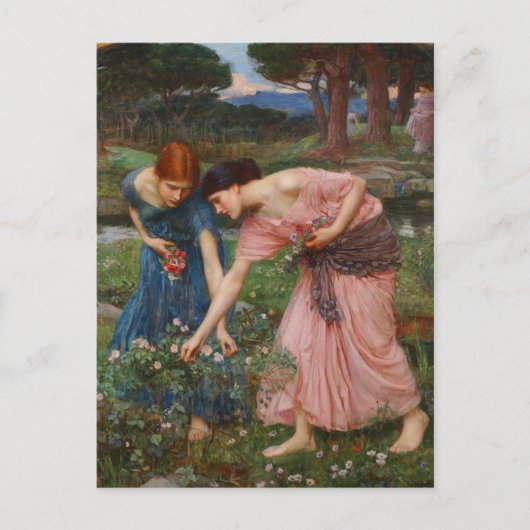 Gather Ye Rosebuds van John W. Waterhouse Briefkaart (Voorkant)