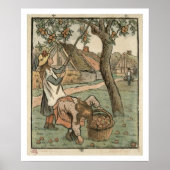 Gathering Apples, uit "Travaux des Champs", engra Poster (Voorkant)