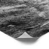 Gathering sisal, Nassau, Bahama-eilanden, c1900 Poster (Hoek)