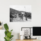 Gathering sisal, Nassau, Bahama-eilanden, c1900 Poster (Thuiskantoor)