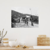 Gathering sisal, Nassau, Bahama-eilanden, c1900 Poster (Keuken)